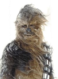 Chewie