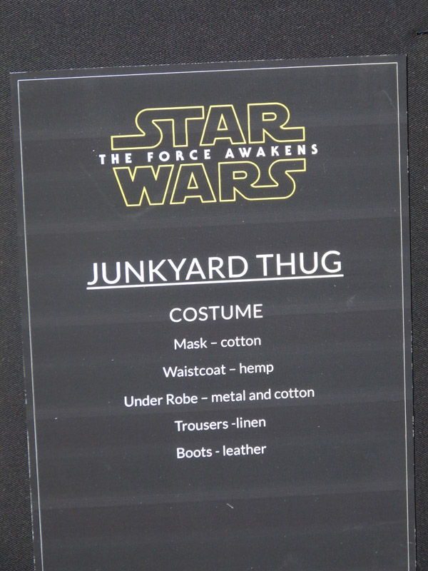Junkyard Thug