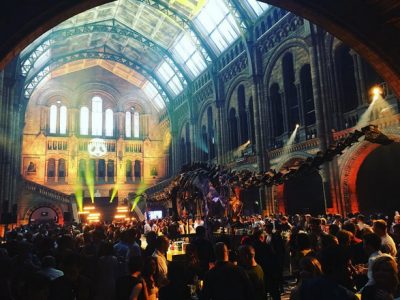 Das war die Episode-VIII-Wrap-Party