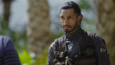Neues Bild von Bodhi Rook