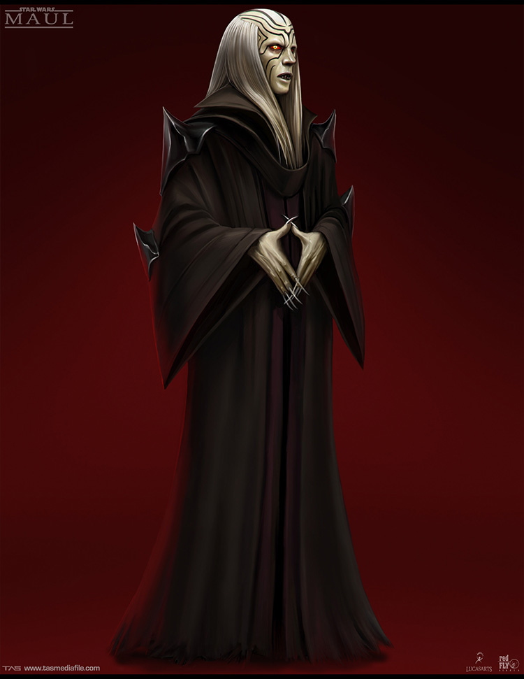 Darth Maul - Das unfertige Game