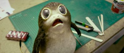 Die offizielle Seite stellt die Porgs vor