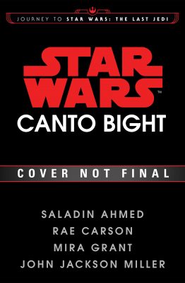 Neue Informationen zu der Journey to The Last Jedi