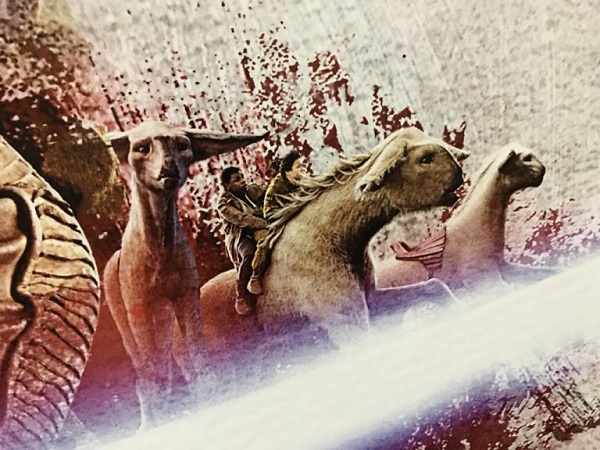 Finn, Rose, Fathier