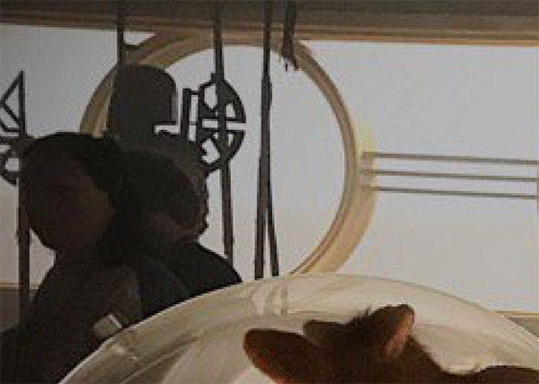Boba Fett? Wo?