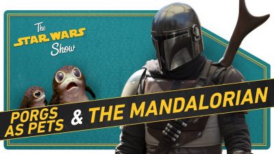 Die Star Wars Show über The Mandalorian
