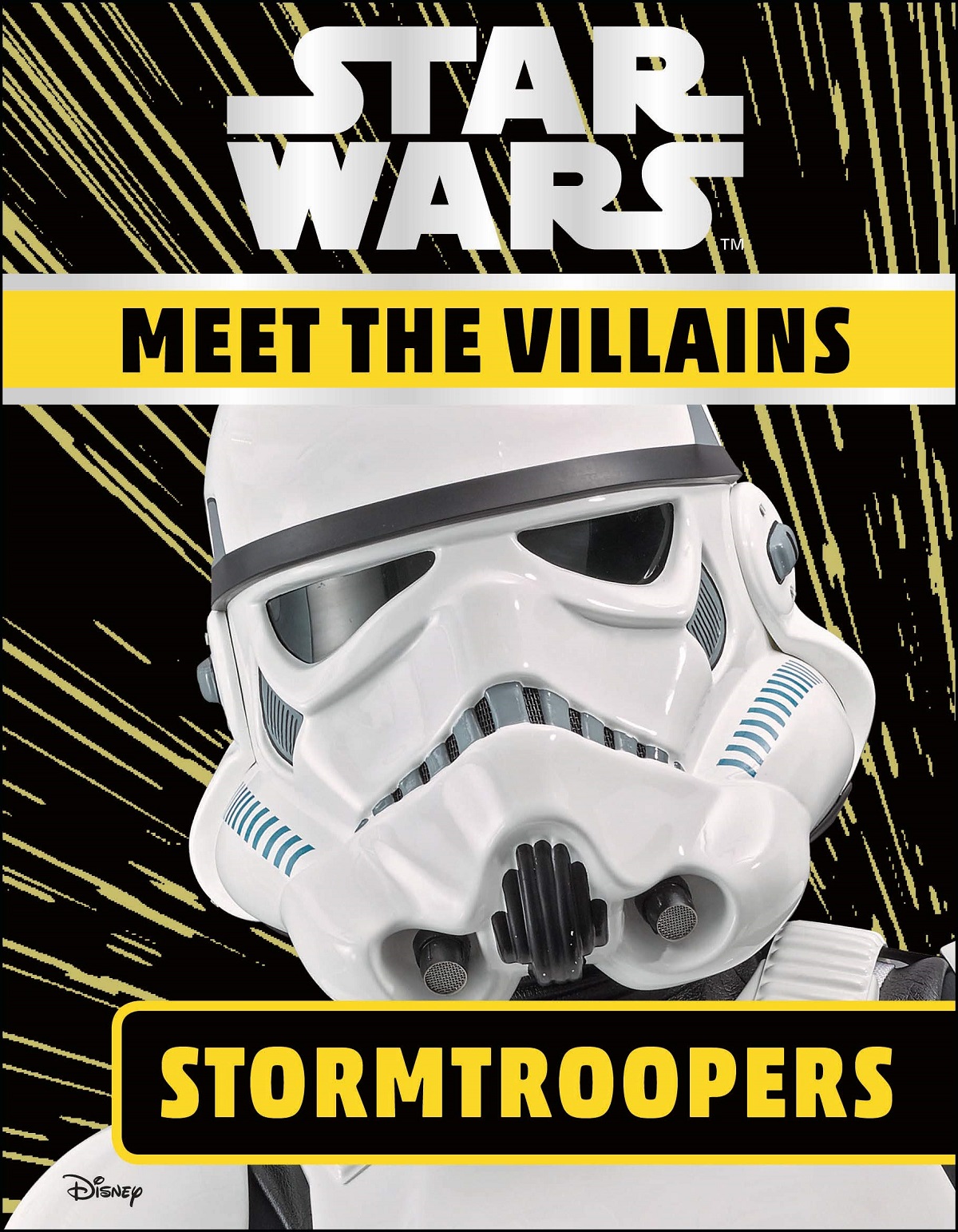 Meet the Villains Stormtroopers
