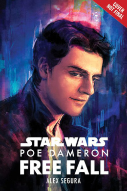 Poe Dameron: Freier Fall