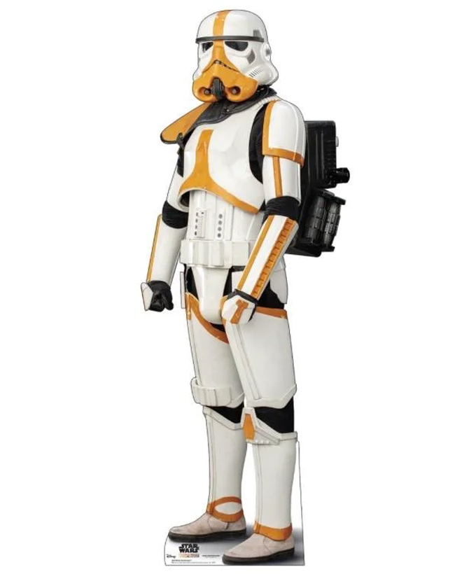 The Mandalorian S2