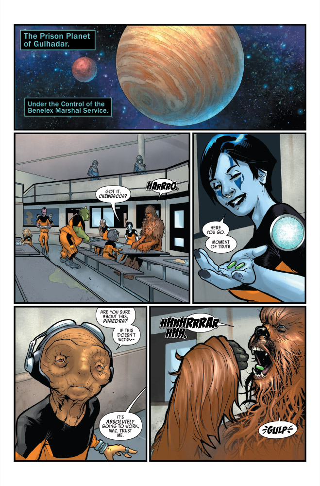 Han Solo & Chewbacca 7