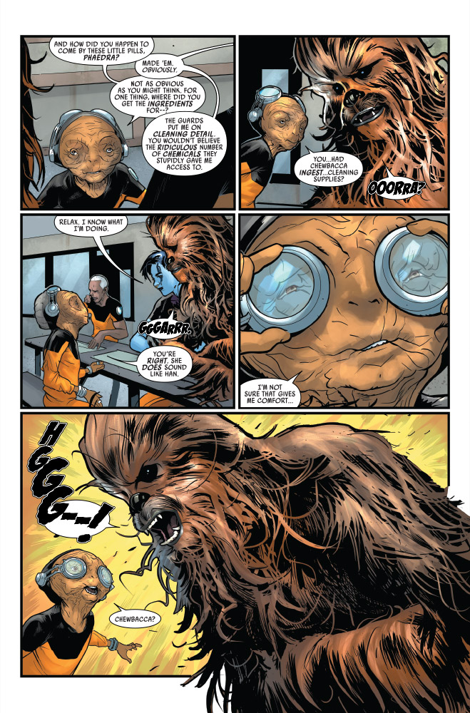 Han Solo & Chewbacca 7