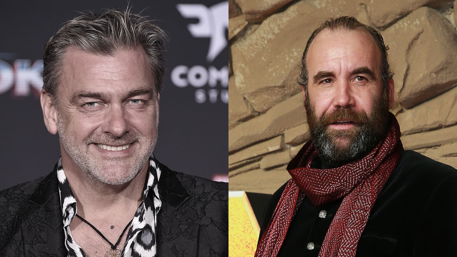 Ray Stevenson und Rory McCann